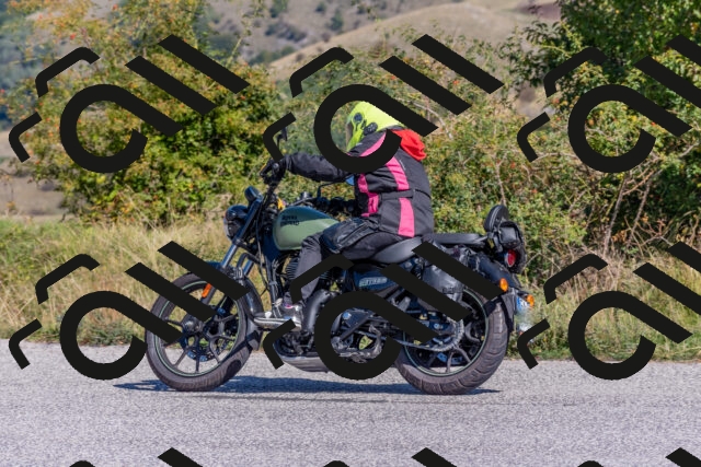 202509211133-DSC_4546_c4_