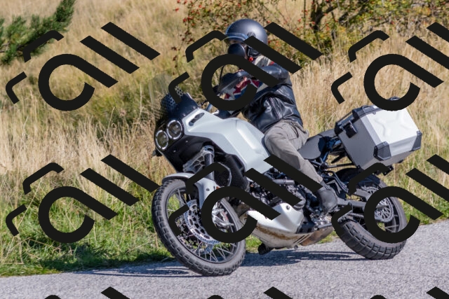 202509211137-DSC_4579_c4_