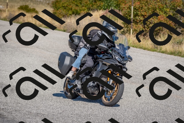 202509211143-DSC_4595_c4_