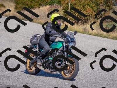 202509211143-DSC_4600_c4_