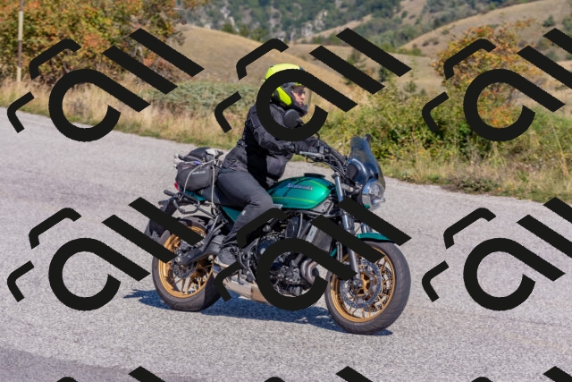 202509211143-DSC_4601_c4_