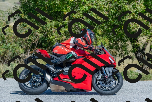 202509211145-DSC_4627_c4_