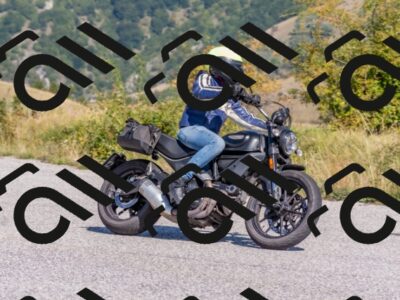 202509211148-DSC_4663_c4_