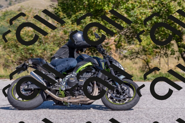 202509211149-DSC_4670_c4_