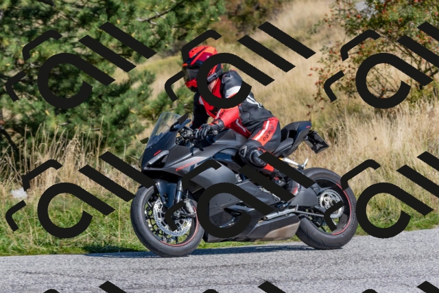 202509211201-DSC_4796_c4_