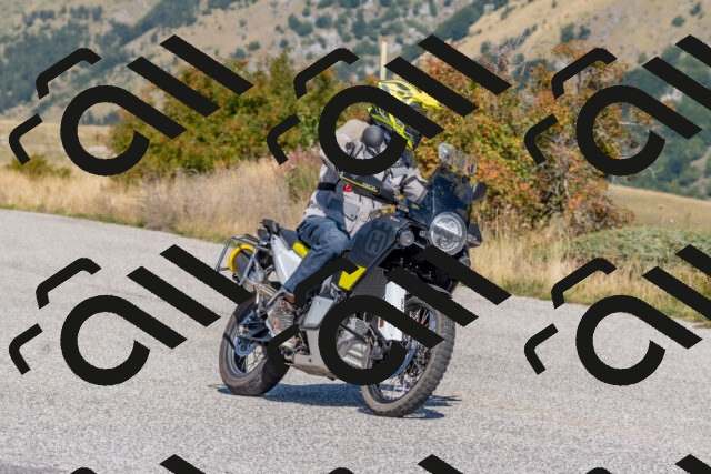 202509211203-DSC_4813_c4_