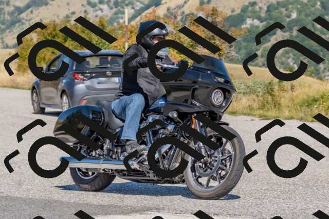 202509211203-DSC_4826_c4_