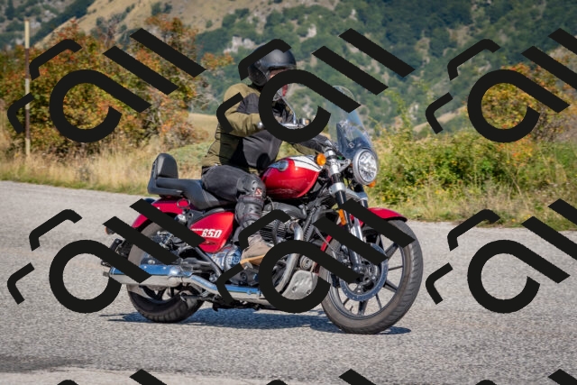 202509211203-DSC_4828_c4_