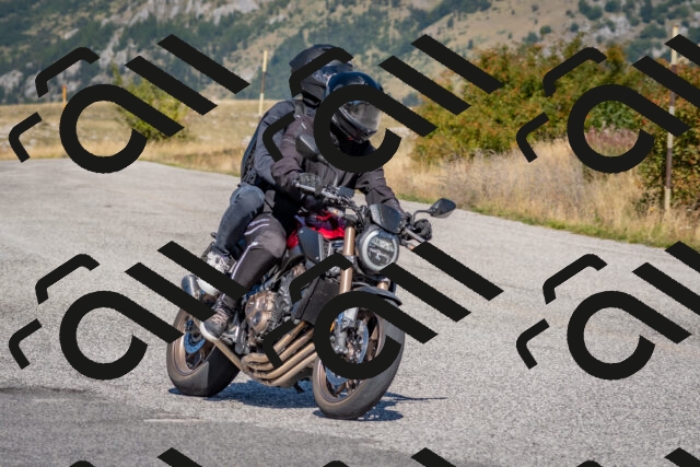 202509211204-DSC_4831_c4_