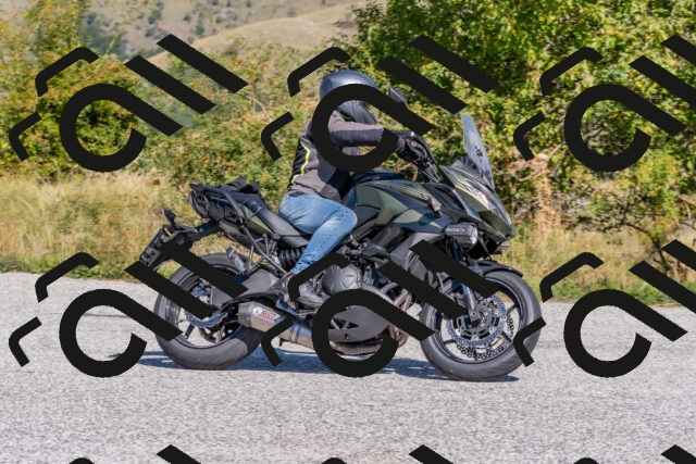 202509211206-DSC_4861_c4_