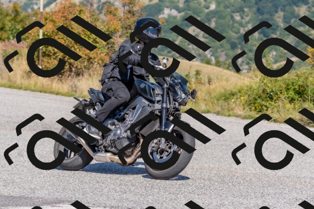 202509211206-DSC_4864_c4_