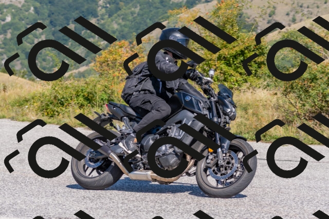 202509211206-DSC_4865_c4_