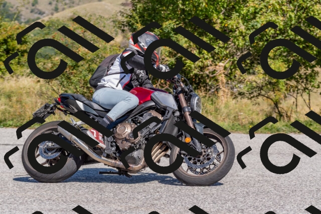 202509211206-DSC_4868_c4_