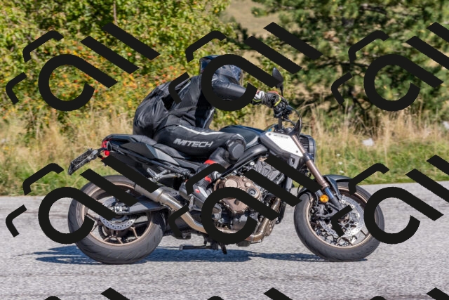 202509211206-DSC_4871_c4_