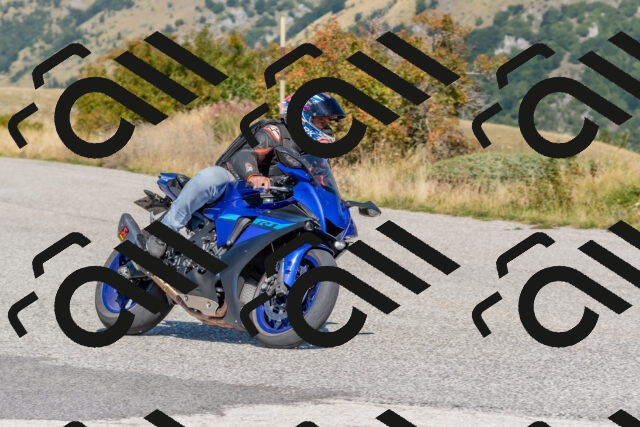 202509211210-DSC_4894_c4_