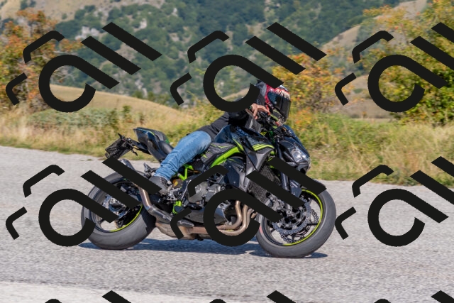 202509211210-DSC_4896_c4_