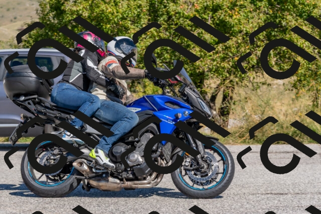 202509211210-DSC_4899_c4_