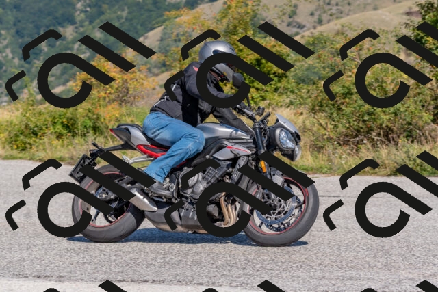 202509211210-DSC_4907_c4_