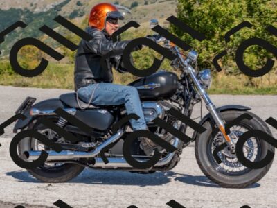 202509211211-DSC_4912_c4_