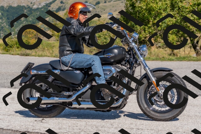 202509211211-DSC_4912_c4_