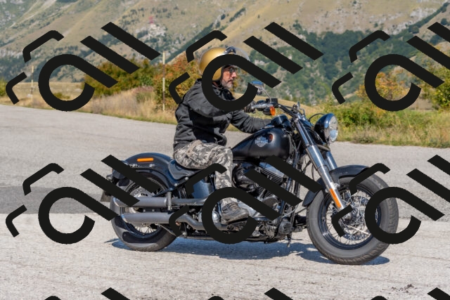 202509211211-DSC_4913_c4_