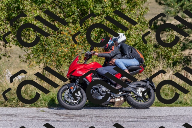 202509211216-DSC_4959_c4_