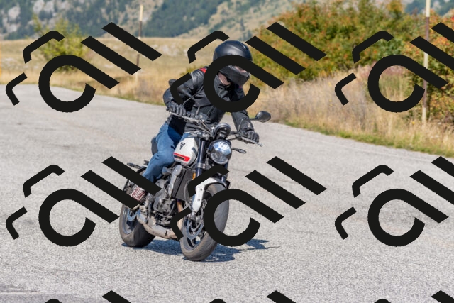 202509211220-DSC_4988_c4_