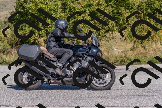 202509211220-DSC_5000_c4_