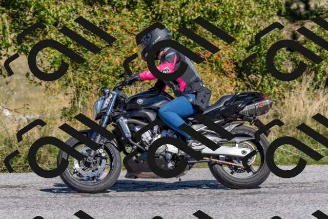 202509211221-DSC_5011_c4_