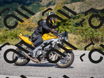 202509211254-DSC_5403_c4