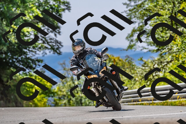 202509201253-DSC_1220_d2_