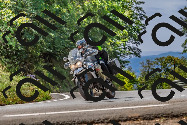 202509201253-DSC_1225_d2_