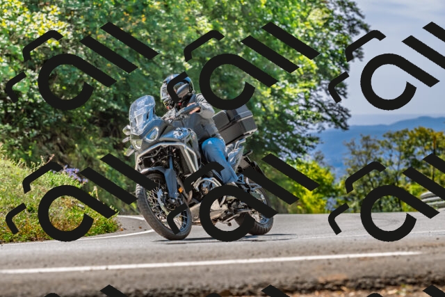 202509201256-DSC_1244_d2_