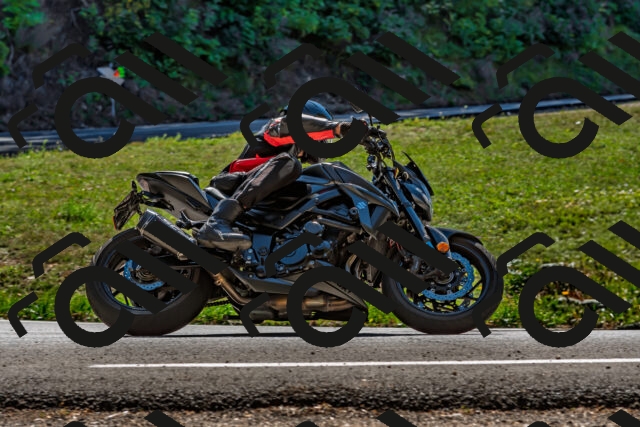 202509201259-DSC_1258_d2_