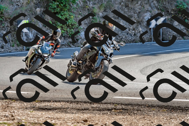 202509201300-DSC_1260_d2_