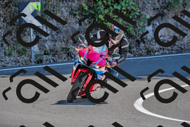 202509201300-DSC_1265_d2_