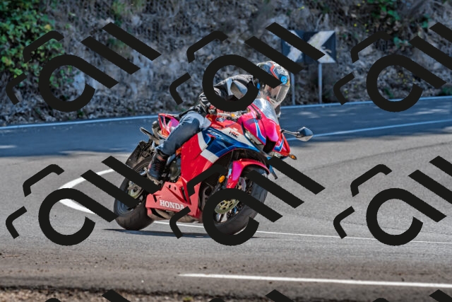 202509201300-DSC_1266_d2_