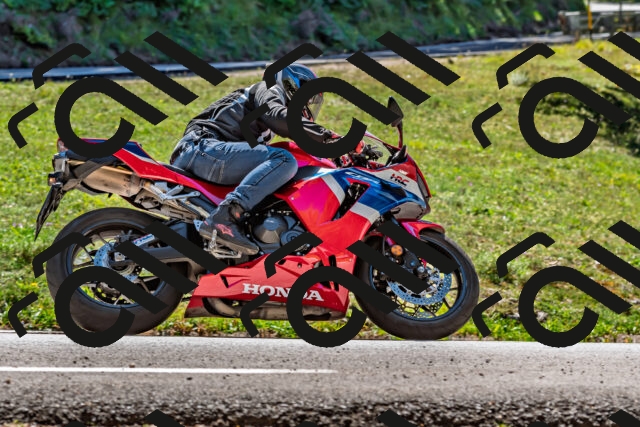 202509201300-DSC_1268_d2_