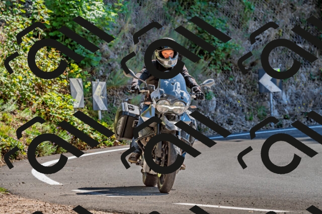 202509201302-DSC_1290_d2_