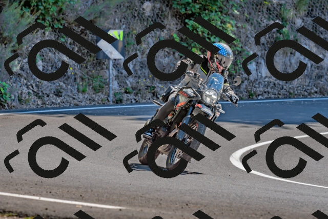 202509201303-DSC_1291_d2_