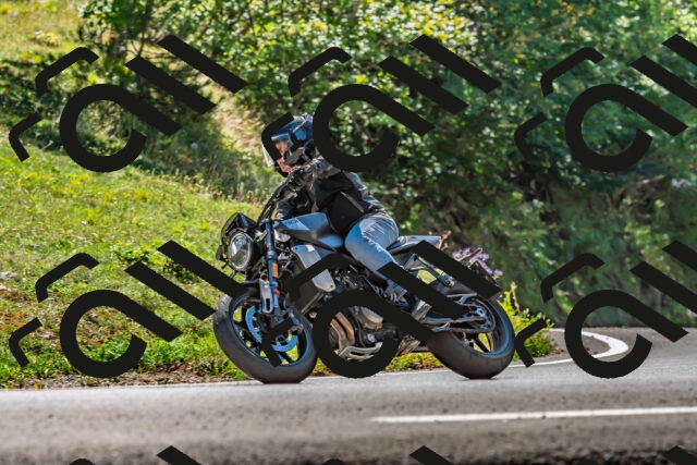 202509201304-DSC_1299_d2_