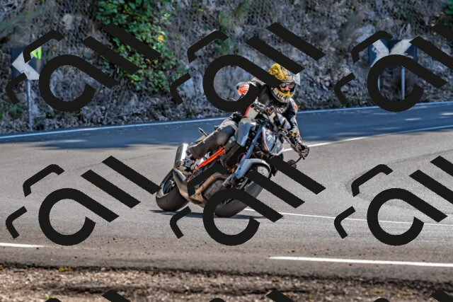 202509201306-DSC_1306_d2_