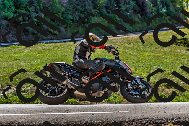 202509201306-DSC_1308_d2_