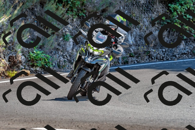 202509201319-DSC_1345_d2_