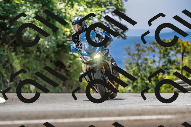 202509201321-DSC_1352_d2_