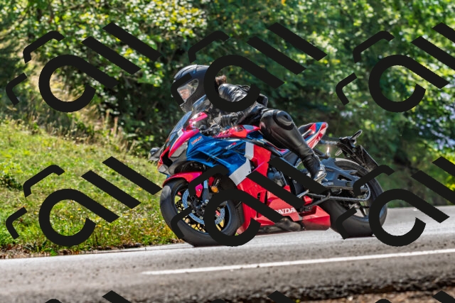 202509201324-DSC_1360_d2_