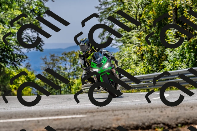 202509201338-DSC_1389_d2_