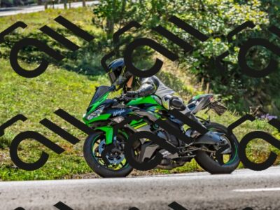 202509201338-DSC_1390_d2_