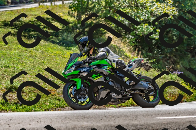 202509201338-DSC_1390_d2_