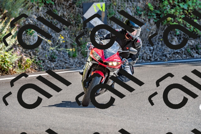 202509201343-DSC_1395_d2_